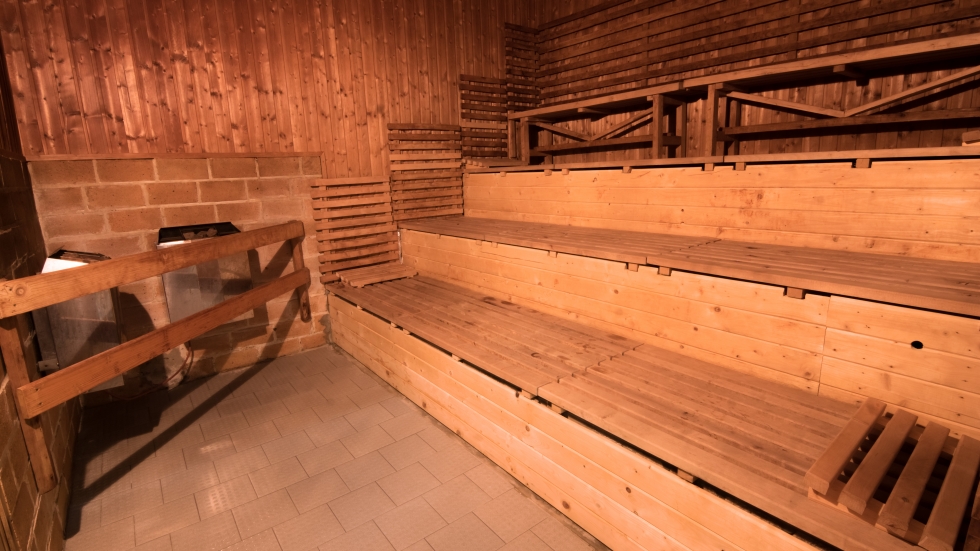 Sauna a parní sauna