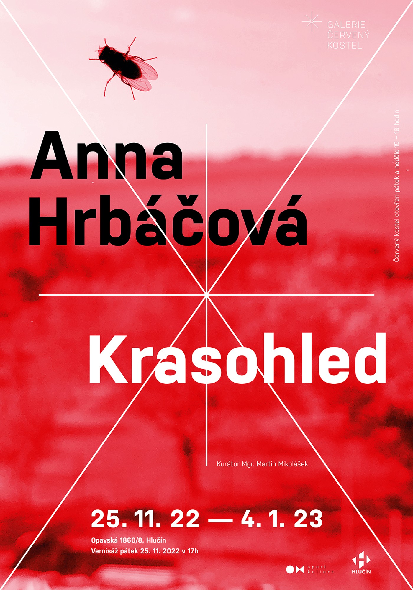 ANNA HRBÁČOVÁ - KRASOHLED VERNISÁŽ VÝSTAVY