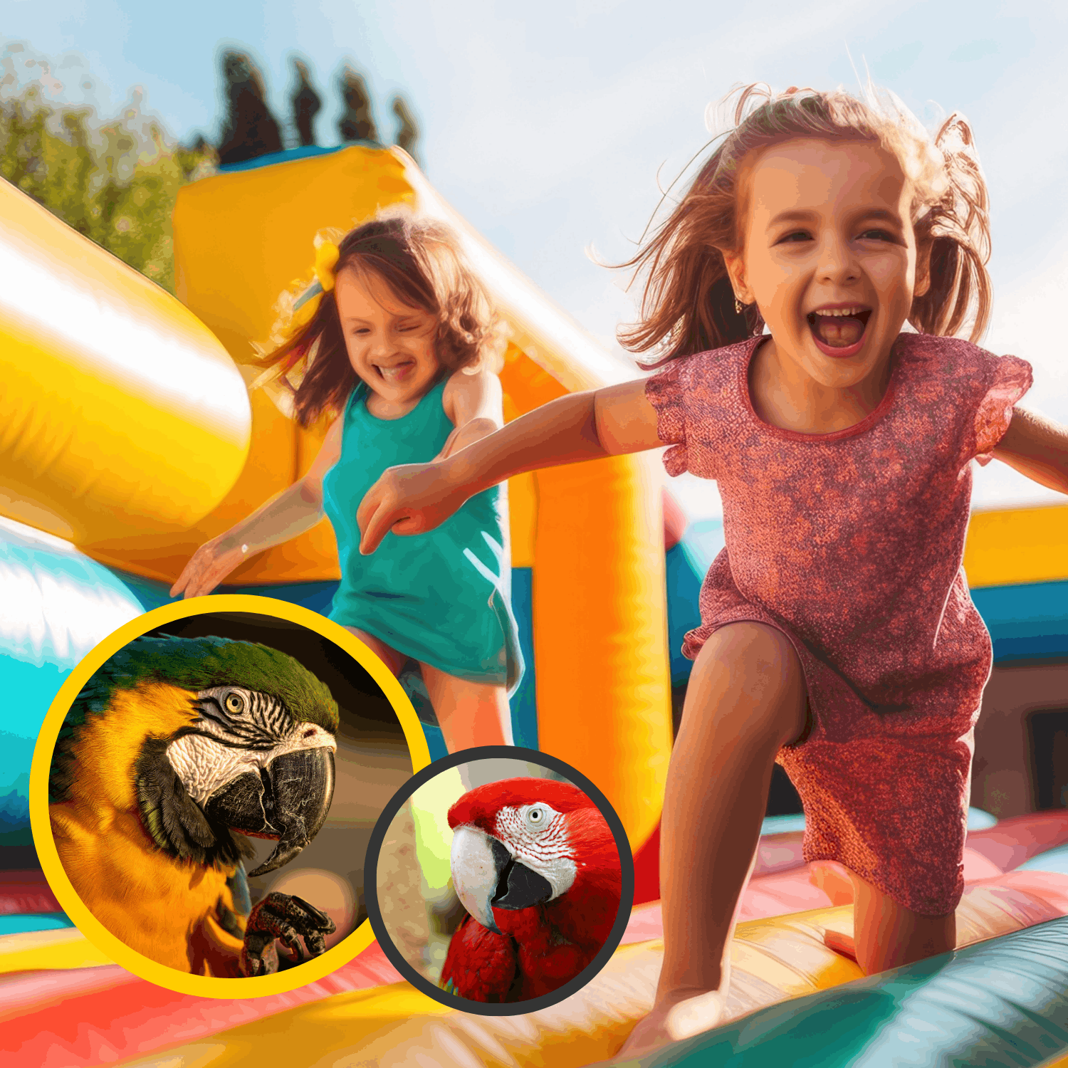 Výstava papoušků a skákacích hradů